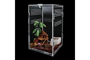 Caja de Alimentación de Insectos 12x12x20 cm, Caja de Alimentación para Reptiles en Acrílico Transparente 360°, Terrarios para Arañas, Ranas, Escorpiones, Caracoles y Lagartos