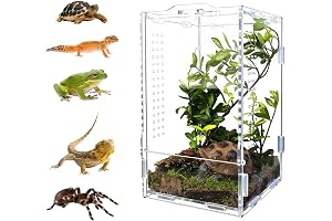 Terrario de araña, 12*12*10cm, Recinto de reptiles, Recinto acrílico para terrario de reptiles, Terrario para gecos,Caja de acrílico para reptiles, adecuado para contenedores para reptiles y anfibios