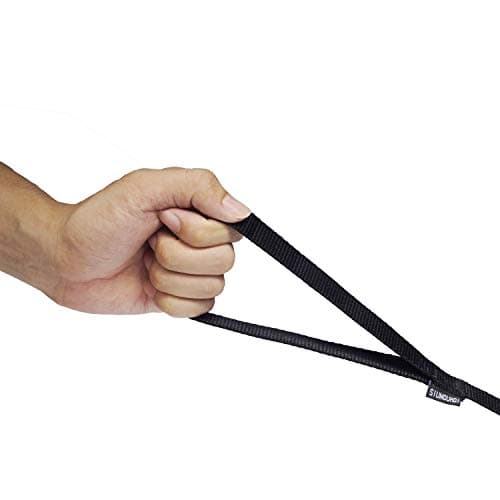 Siumouhoi Strong Durable Nylon Dog Training Leash, 1 Inch Wide Traction Rope, 6 ft Long, for Small and Medium Dog (Black, 6 Feet) — view 2