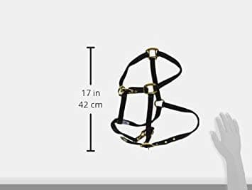 Hamilton 8DAS AVBK 3/4-Inch Nylon Arabian Horse Halter for 800 to 1100-Pound Horse, with Adjustable Chin and Throat Snap, Black