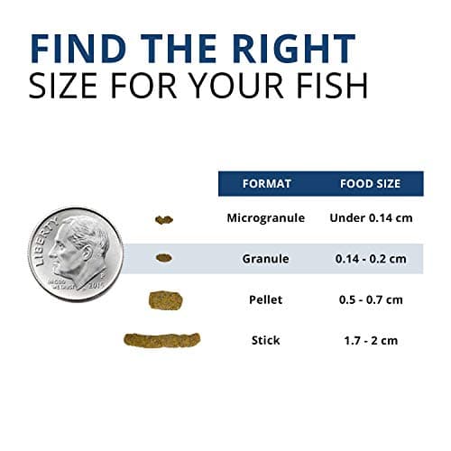 Fluval Bug Bites Tropical Fish Large Granules 4.4 oz, A6579, Brown — view 2
