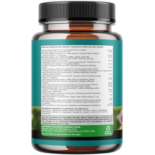 Milk Thistle Supplement for Liver Cleanse Detox & Repair - Herbal Pills with Dandelion Root, Choline, Beetroot & Artichoke Extract - 60 Capsules