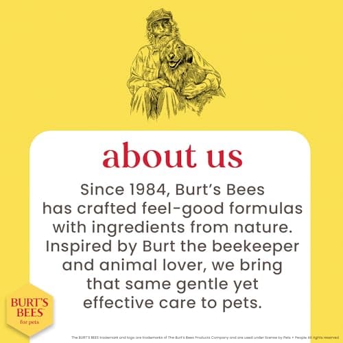 BURT'S BEES FOR PETS Deodorizing Spray for Dogs with Witch Hazel, Lemongrass & Sage, 99% Natural Origin Formula, Gentle Waterless Dry Dog Shampoo for All Dogs, 10 Fl Oz — view 5