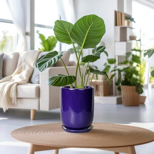 SUNPOTFOR Ceramic Plant Pot - 8 Inch Planter for Indoor Plants Outdoor Flower Pot with Drainage Hole and Saucer Home Patio Office Decor Blue