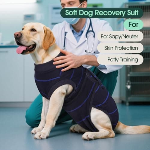 Kuoser Recovery Suit for Dogs, Female Male Dog Onesie for Spay Neuter, Anti Licking Dog Surgery Recovery Suit Soft Dog Bodysuit for Small Medium Large Dogs, Substitute E-Collar & Cone