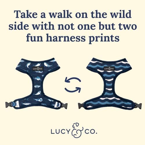 Lucy & Co. Reversible Dog Harness - Water-Repellent Neoprene, Dual-Print Design, Easy Swap Style, Adjustable Comfort Fit - Shark Attack Reversible Harness - Large — view 2
