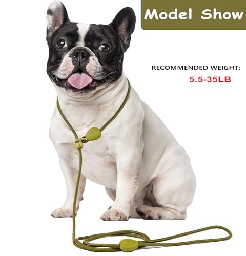 Green 6FT Heavy Duty Dog Training Leash - Comfortable Rope, No Pull, Suitable for Small to Medium Dogs