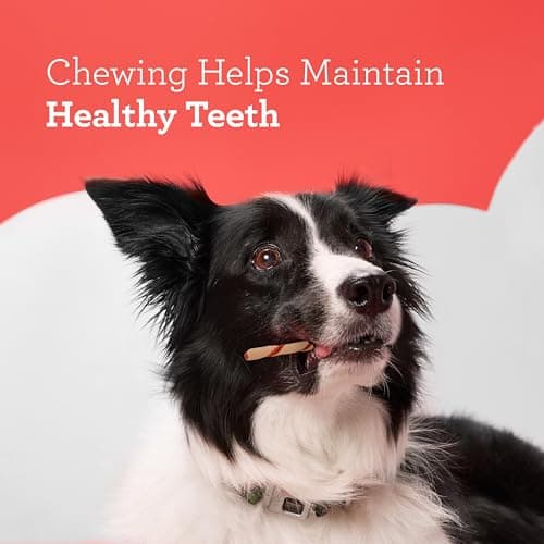 DreamBone Twist Sticks Chews for Dogs, Treat Your Dog to Easy-to-Digest Rawhide-Free Chews Made with Real Vegetables and Chicken, 50 Count — view 4