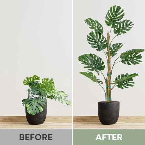 2 Pack 48'' Bendable Moss Pole Monstera Plant Support for Climbing Indoor Plants - Stakes for Potted Climbers - Tall Sticks Indoor Trellis for Houseplants - Accessories for Monstera Pot — view 4