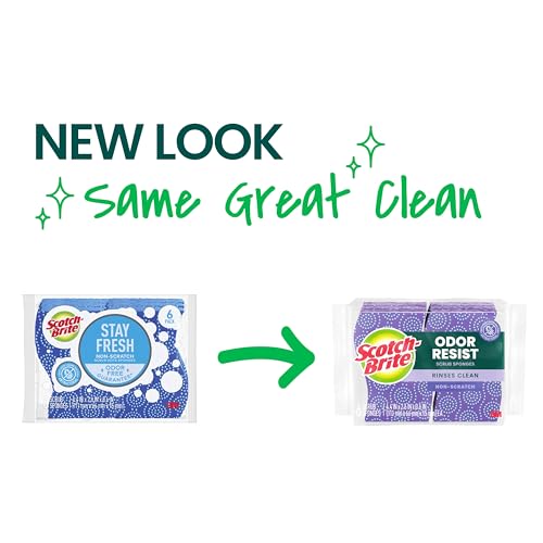 Scotch-Brite Odor Resist Non-Scratch Scrub Sponge, Dishwasher-Safe Kitchen Sponges that Resist Bacterial Odors, Multipurpose Dish Sponge for Gentle Cleaning, 6 Dish Sponges