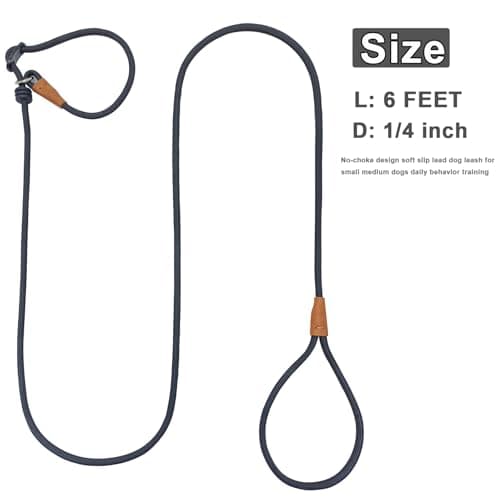 Boswany 6ft Small Slip Lead Dog Training Leash, 1/4-In Lightweight Rope Slip Leash, No-Pull Cute Leashes for Medium Small Dogs Puppy Pets (Black, 1/4" x 6ft) — view 2