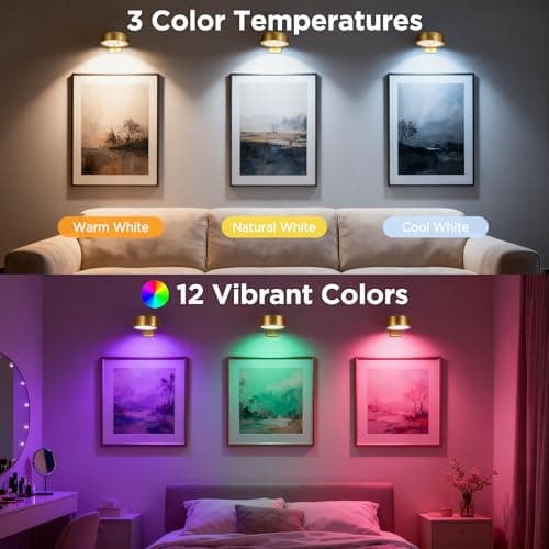 4-Pack Picture Lights for Wall, Rechargeable Cordless Remote Poster Lights, Dimmable Painting Lights with 3 CCT & 12 RGB, Magnetic LED Art Display Lights for Dashboard, Bedroom, Living Room, Hallway