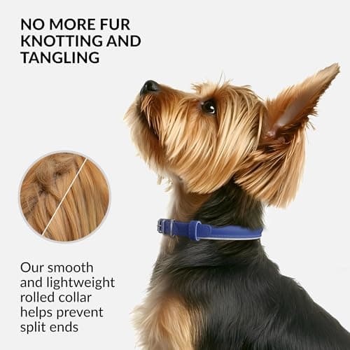 CollarDirect Rolled Leather Dog Collar, Soft Padded Round Puppy Collar, Handmade Genuine Leather Collar Dog Small Large Cat Collars (Deep Blue Smooth, 35-40 cm)
