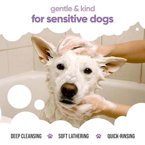 White Dog Shampoo by Buddycare | Dry Skin & Itchy Skin Relief for Smelly Dogs | Deep Cleansing Shampoo for Dogs Puppy Sensitive Skin | Dog Shampoo & Conditioner | with Aloe & Vitamin B5 (16.90oz) — view 4