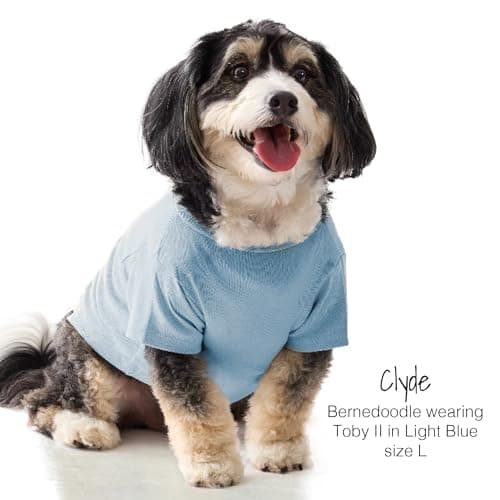 Pet Passion Toby II - The Perfect Tee, 3 Pack Short Sleeve Pet T-Shirt 100% Organic Cotton Tees Clothes for Small, Medium, Large Dogs​​, Navy Camo, Small (10-25 lbs) — view 3