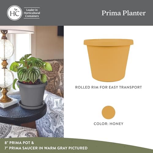 The HC Companies 14 Inch Round Prima Planter - Plastic Plant Pot with Rolled Rim for Indoor Outdoor Plants Flowers Herbs, Honey (Pack of 2)