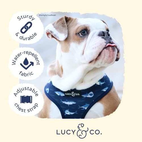Lucy & Co. Reversible Dog Harness - Water-Repellent Neoprene, Dual-Print Design, Easy Swap Style, Adjustable Comfort Fit - Shark Attack Reversible Harness - Large — view 3