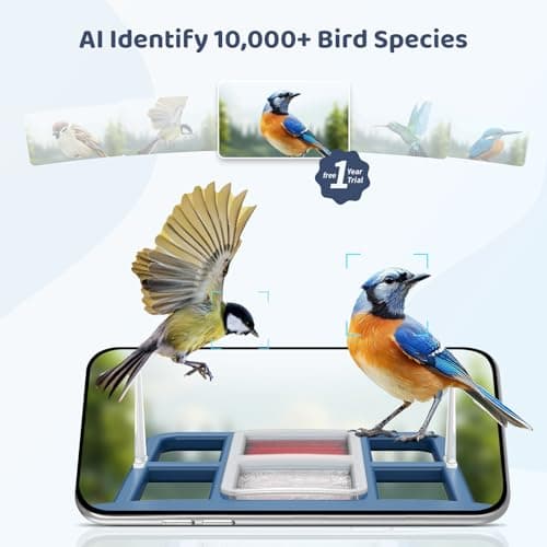 LIWAN Bird Feeder with Camera Solar Powered, 1 Year Trial AI Identify, 2K Live Video, Smart Bird Feeder Camera Wireless Outdoors, 2.4GHZ WiFi, Instant Arrival Alerts, Bird Lover Gifts