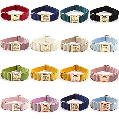 PETDURO Custom Dog Collar Personalized with Name Engraved Gold Metal Buckle for Large Medium Small Female Girl Dogs - Dog Leash and Bow Tie Set Available - Soft Comfy Velvet (Champagne Pink, S)