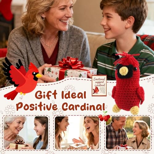 Vkeyinf Emotional Daily Support Cardinal, Memorial Crochet Cardinal Gifts, Emotional Uplifting Support Crochet Bird with I Am Always with You Card, Inspirational Birthday Gifts for Women — view 5
