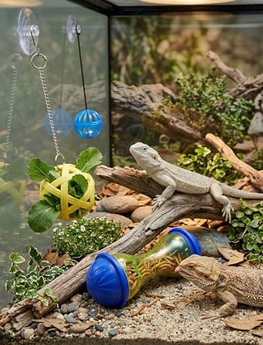 NiToy Bearded Dragon Enrichment Toys, Interactive Reptile Feeder Ball Set