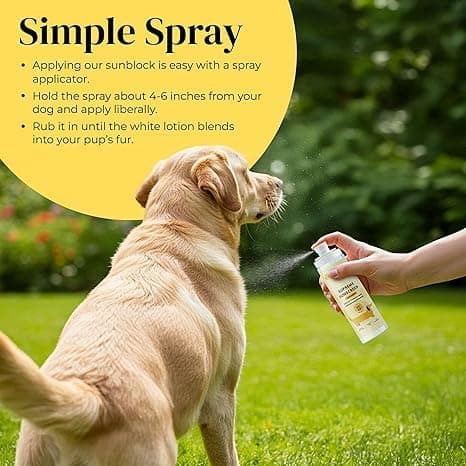 Divine Canine Dog Sunscreen Spray - SPF 30 UV Water Resistant - 2 Fl Oz — view 3