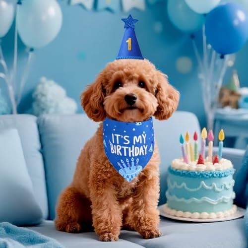 Agroon Dog Birthday Party Supplies, Blue Dog Birthday Set with Hat Bandana Numbers for XLarge Large Boy Pets Puppy — view 5