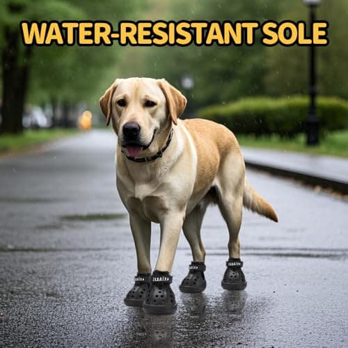 JZXOIVA Dog Shoes for Hot Pavement, Dog Booties for Small Dogs, Breathable Dog Boots & Paw Protectors, Adjustable Non-Slip Rain Booties, Waterproof Pets Sandals for Beach Black Size 3 — view 2