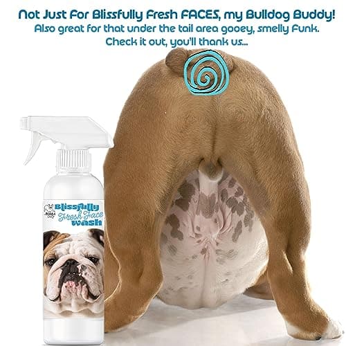 The Blissful Dog Blissfully Fresh Face Wash - Cleans Facial Folds and Wrinkles, 4-Ounce, Bulldog — view 2