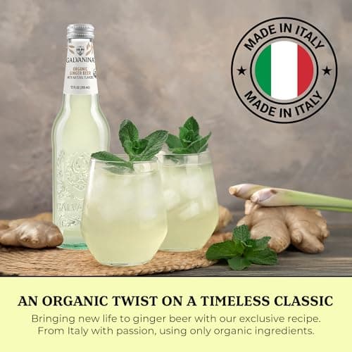 Galvanina Ginger Beer – Premium Organic Italian Sparkling Soda, 12 fl oz Glass Bottle (Pack of 1) | Bold Ginger Bite, Ideal for Mules & Mixology. — view 4