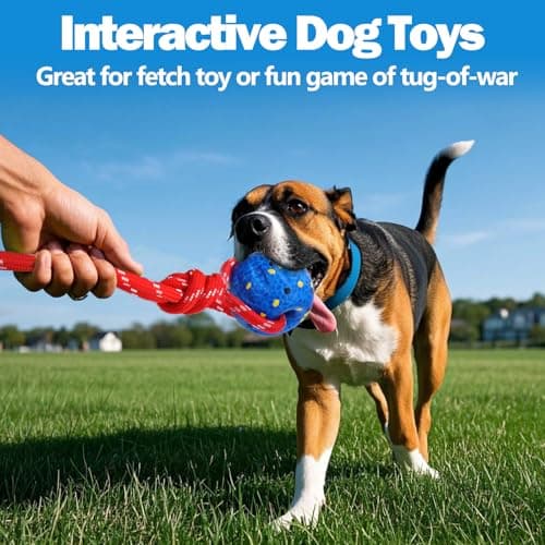 Mity rain Floating Dog Toys –E-TPU Water Pool Fetching Toy with Rope — view 4