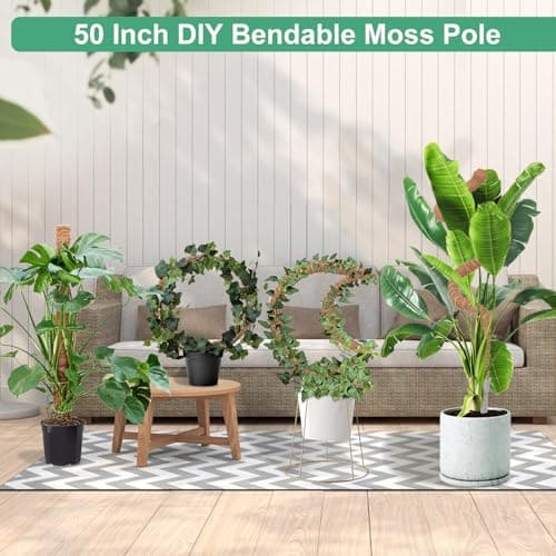 3 Pack Moss Pole, 50 Inch Monstera Plant Support, Tall Moss Poles for Climbing Plants Indoor DIY, Coco Coir Plant Pole Moss Plant Stick Support Stake Kit for Potted Plants, Pothos, Philodendron — view 2