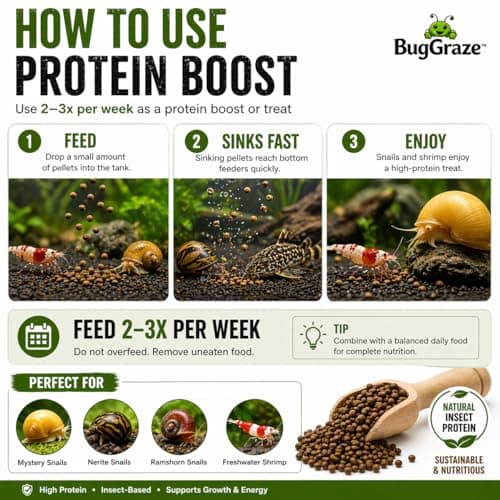 BugGraze BSFL Pellets for Snails & Shrimp – High Protein Supplement Food – Sinking Insect-Based Pellets for Growth & Energy – Aquarium Treat for Mystery, Nerite & Shrimp – 3 oz — view 2