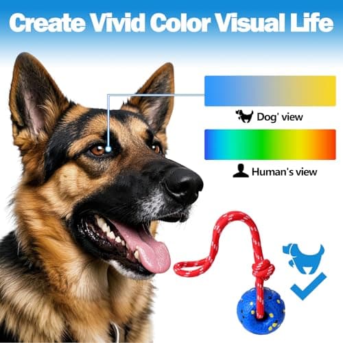 Mity rain Floating Dog Toys –E-TPU Water Pool Fetching Toy with Rope — view 5