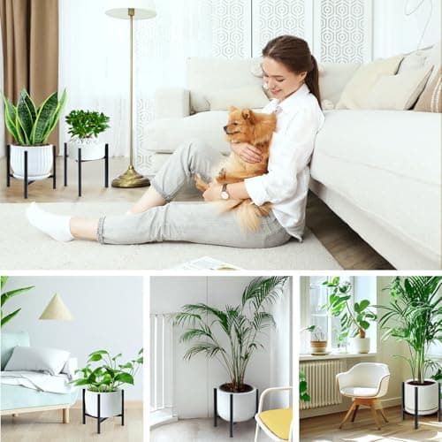 Airpark Plant Stand Indoor Adjustable, Metal Modern Plant Stands, Heavy Duty Stable Plant Pot Flower Holder Indoor Outdoor Corner, Fit 8 9 10 11 12 inch Pots, Black (Pot & Plant Not Included) — view 4