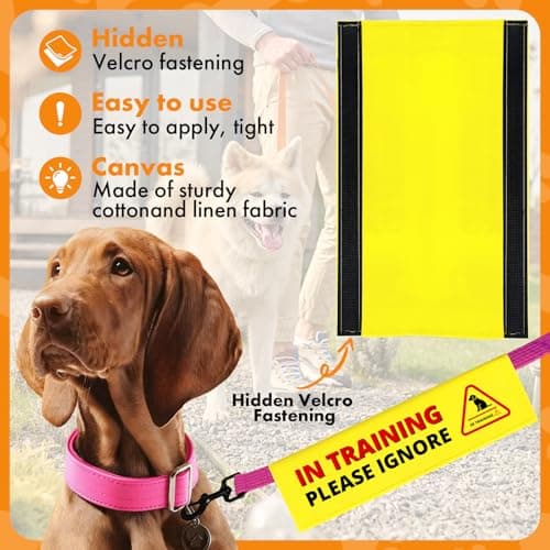 Funny Yellow Pet Dog Leash Wrap Hanging ID Patch Tag, in Training Please Ignore Dog Leash Alert Sign for Pet Birthday Gift — view 3