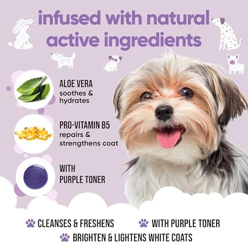 White Dog Shampoo by Buddycare | Dry Skin & Itchy Skin Relief for Smelly Dogs | Deep Cleansing Shampoo for Dogs Puppy Sensitive Skin | Dog Shampoo & Conditioner | with Aloe & Vitamin B5 (16.90oz) — view 2