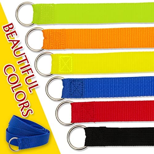 Slip Lead Dog Leash, 6 pcs Short Pet Leashes Slip Leads for Dogs Cats Grooming Shelter Rescues Walking Training,etc., 6 FT Strong Pulling Dog Leash with O-Ring — view 4