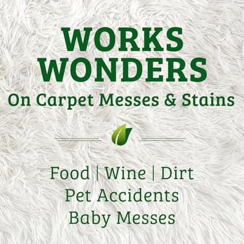 Biokleen Bac-Out Enzyme Cleaner and Stain & Odor Remover for Pet Stains, Laundry, Diapers, Wine, Carpets, & More, Eco-Friendly, Non-Toxic, Lime Scent, 128 Ounces — view 2