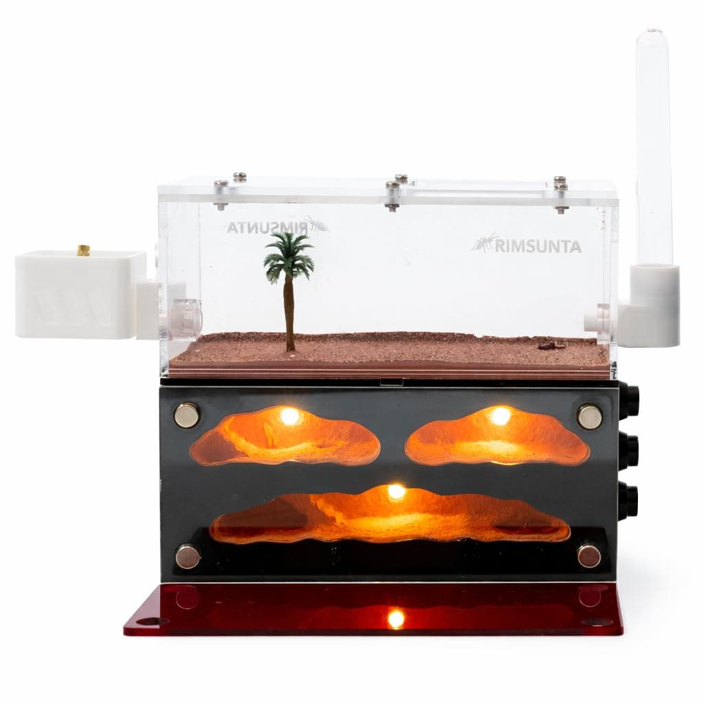 Lumen Series – Chamber Ant Farm with Built-in LED Lighting, Compact Formicarium Habitat for Live Ants, Small Colony Ant Nest for Observation