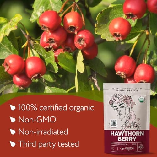 Hawthorn Berry Tea Organic (16 oz) – Support Heart Health, Pressure Balance — view 2