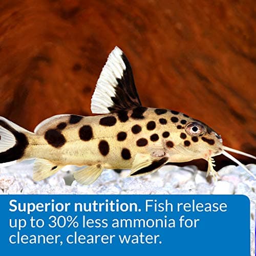 API BOTTOM FEEDER PELLETS WITH SQUID Fish Food 7.9-Ounce Container — view 5