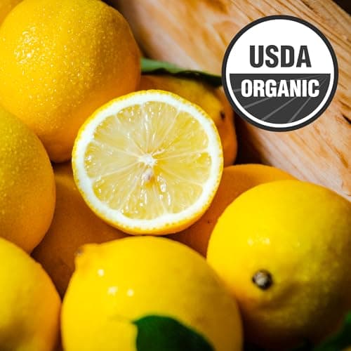 Galvanina Lemon – Premium Organic Italian Sparkling Soda, 12 fl oz (6 Glass Bottles) | Crafted with Sicilian Lemons for a Zesty, Refreshing Drink. — view 5