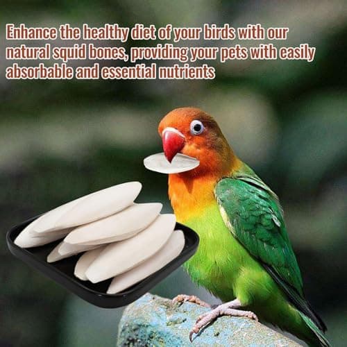 10Pcs Bird Cuttlebone Cuttlefish Bone, Bird Cage Food Cuttle Bone, Parakeet Chew Toy Calcium Stone Beak Exercise for Birds Parrots Cockatiels Budgie Snails Reptiles - 4-6cm