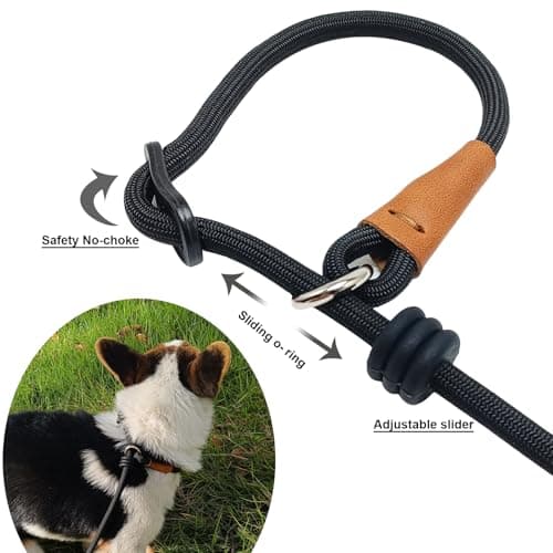Boswany 6ft Small Slip Lead Dog Training Leash, 1/4-In Lightweight Rope Slip Leash, No-Pull Cute Leashes for Medium Small Dogs Puppy Pets (Black, 1/4" x 6ft)