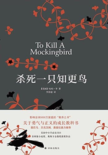 杀死一只知更鸟 — view 2