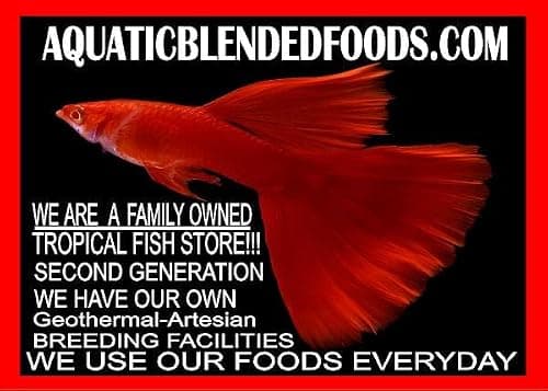 AQUATICBLENDEDFOODS Gourmet Axolotl Soft Food Pellet Mix 3.2mm & 4.0mm & MINI BLOODWORM Sticks - A7 (5oz)