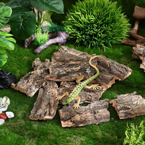 Toddmomy 10Pcs Reptile Tree Bark Decor 3.93X3.54In Natural Cork Bark for Gecko Turtle Lizard Climbing and Basking Platform Terrarium Accessories