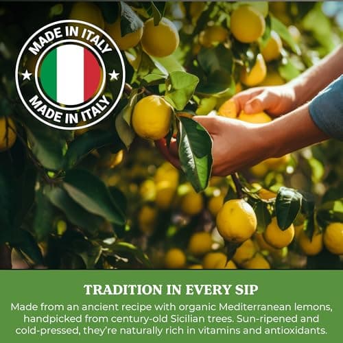 Galvanina Lemon – Premium Organic Italian Sparkling Soda, 12 fl oz (6 Glass Bottles) | Crafted with Sicilian Lemons for a Zesty, Refreshing Drink. — view 4