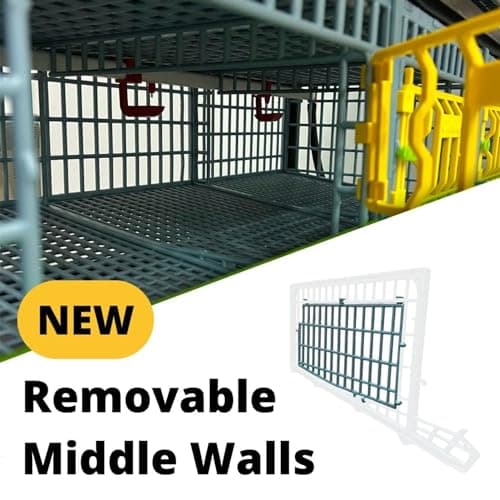 Quail Breeding Cage Indoor: 5 Layer Stackable Quail Coop, Easy Clean, Rust-Free, Easy Egg Collection (2024 Upgrades: Longer Waste Trays, Removable Middle Walls) Cimuka (Traditional)